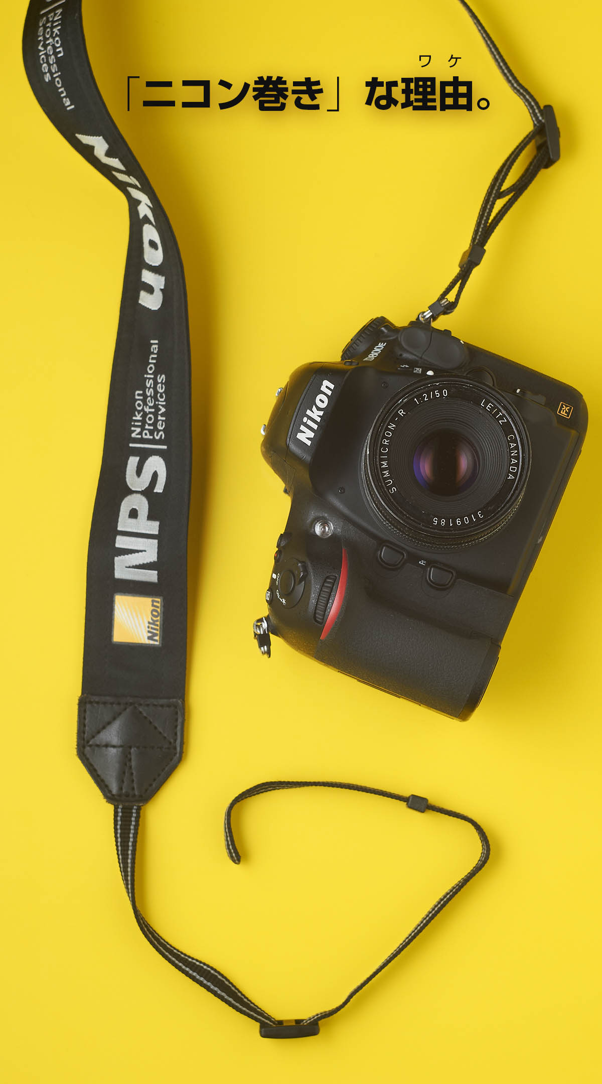 Nikon ニコンカメラ ストラップ - ストラップ