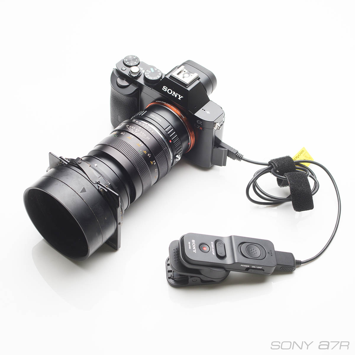 【高画素フルサイズ機頂上決戦！】SONY α7R vs Nikon D800E vs D800、同じレンズ（マクロ・エルマリート-R60mm
