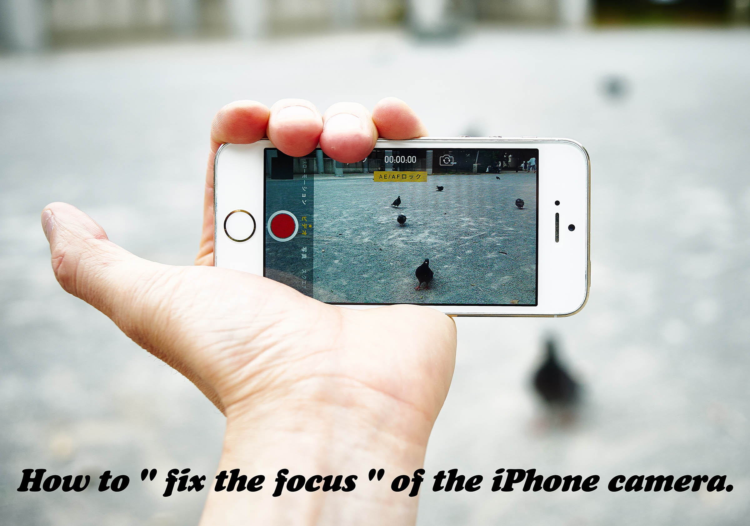 Iphoneカメラでピントを固定する方法 使える機材 Blog