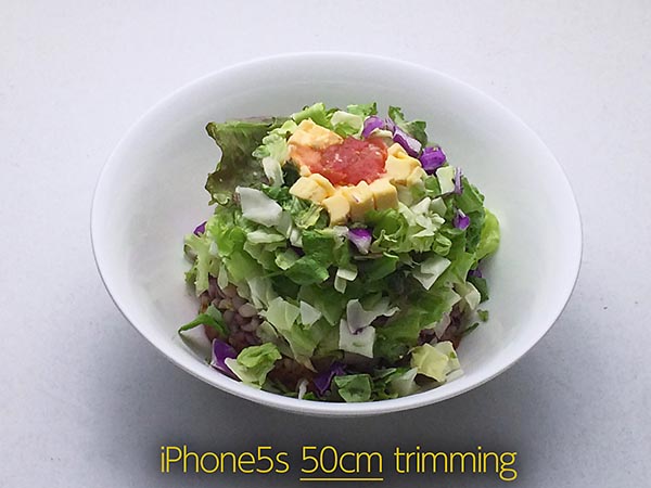 iPhone5s_50cm_trimming