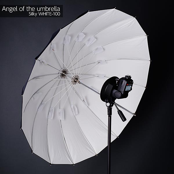 AngelOfThe Umbrella
