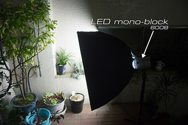 LED mono-block600B