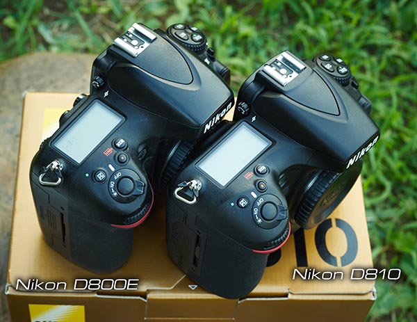 D810vsD800E__0016