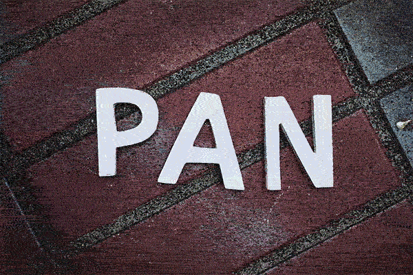 PAN_01