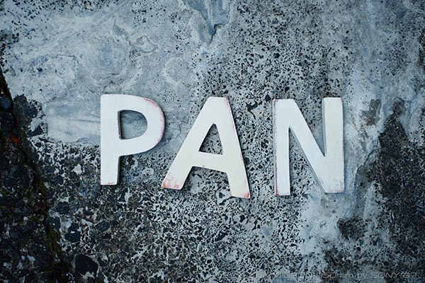 PAN_06