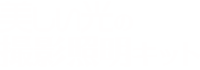 美しい光の撮影照明キット